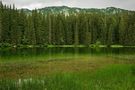 Discover the Beauty of Durmitor: A Private Tour in Montenegro