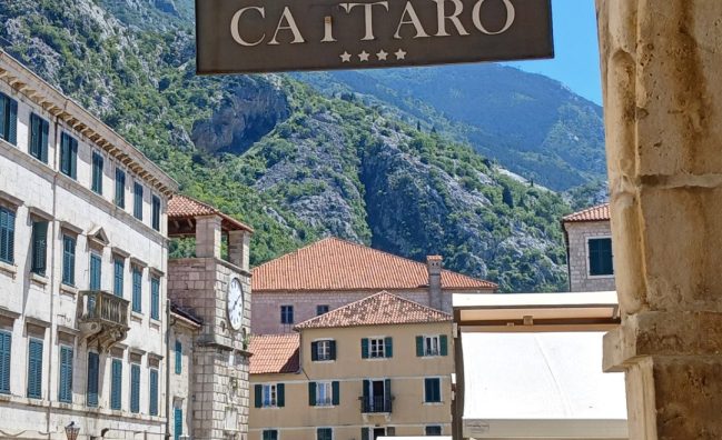 FROM Bar: Shore Excursion to Kotor Old Town & Panoramic Tour