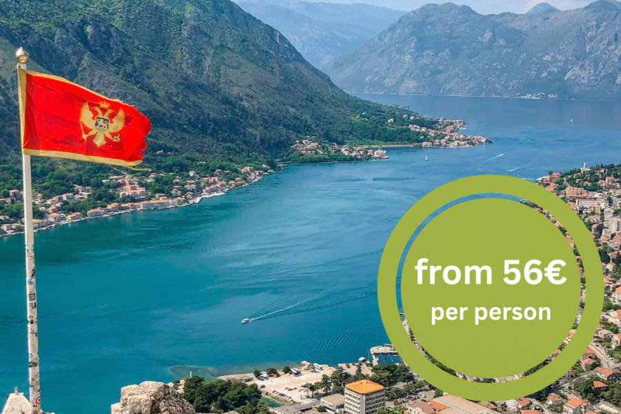 FROM Bar: Shore Excursion to Kotor Old Town & Panoramic Tour