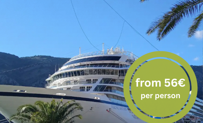 FROM Bar: Shore Excursion to Kotor Old Town & Panoramic Tour