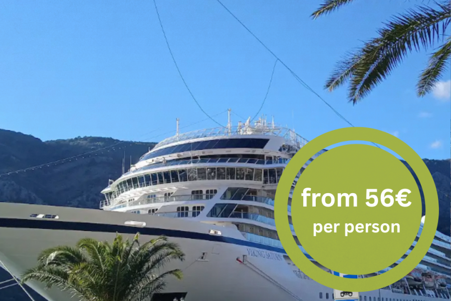 FROM Bar: Shore Excursion to Kotor Old Town & Panoramic Tour
